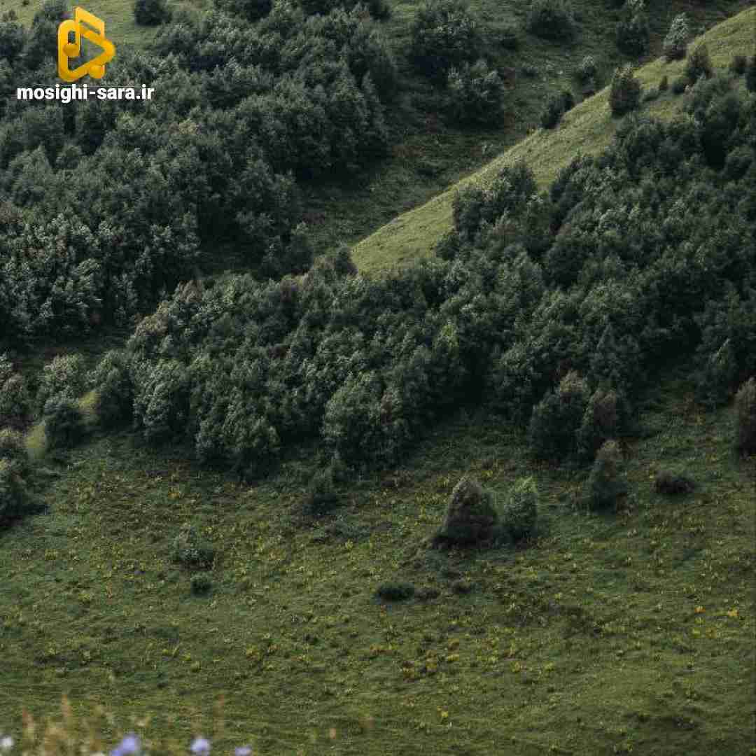  انقد دوست دارم که معلومه از نگام فکر نمیکنم