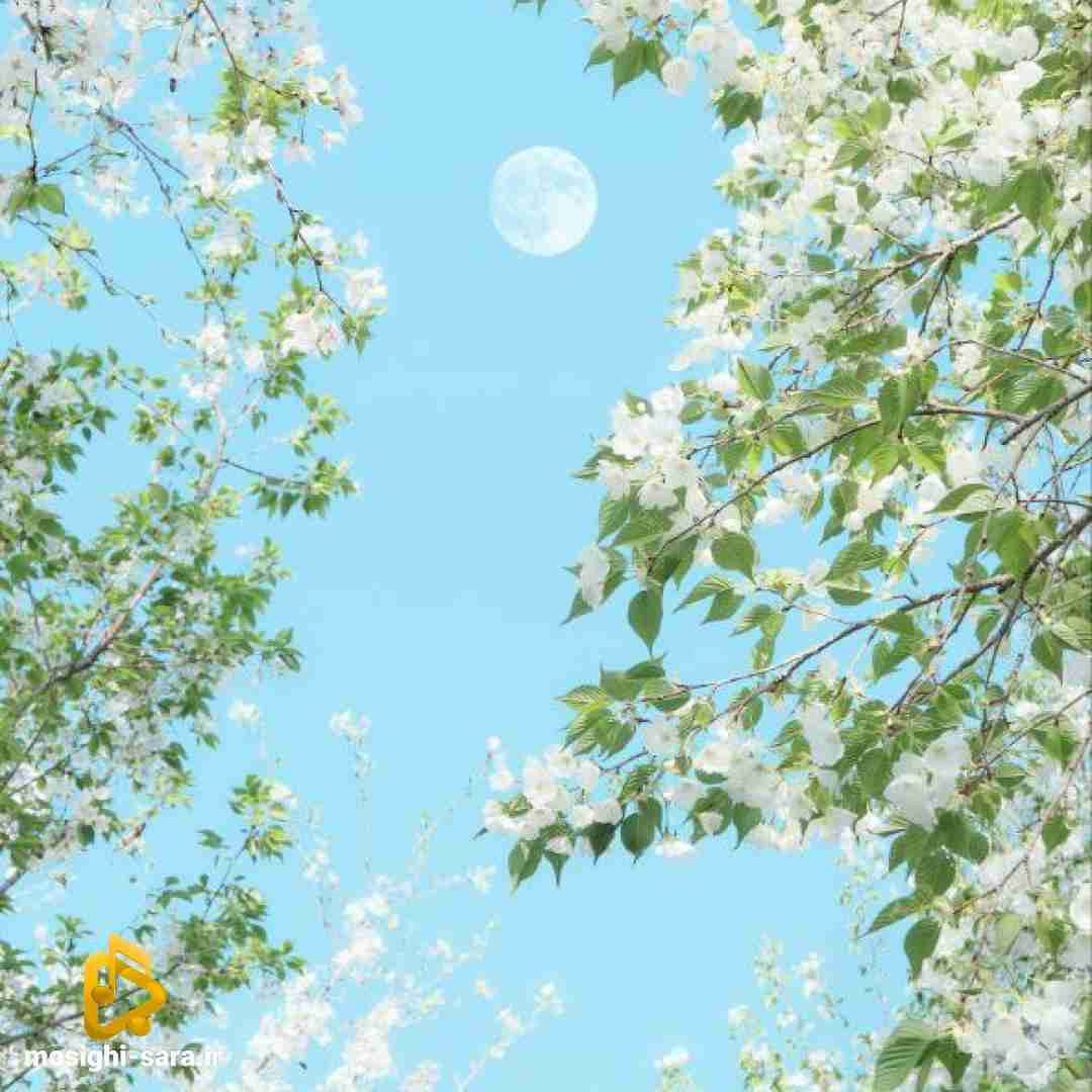  چقدر خوبه که اینجایی حتی خیالی حتی دروغ