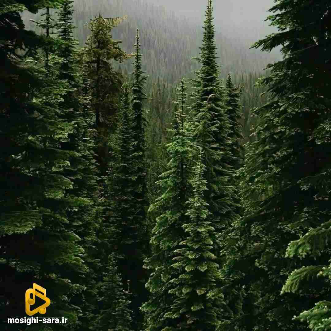 به خدا سپردمت قلبم تو سینه درد میکشه