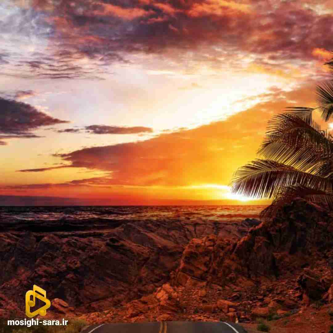  منو میدونم نمیخوای نرو بری میدونم نمیای