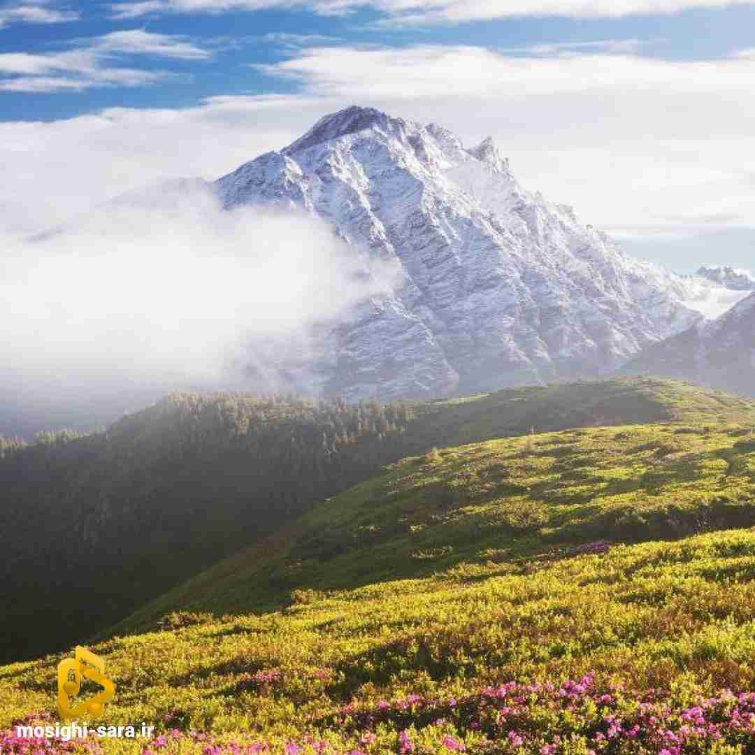  زور دلم نمیرسید به نفوذه چشم هات