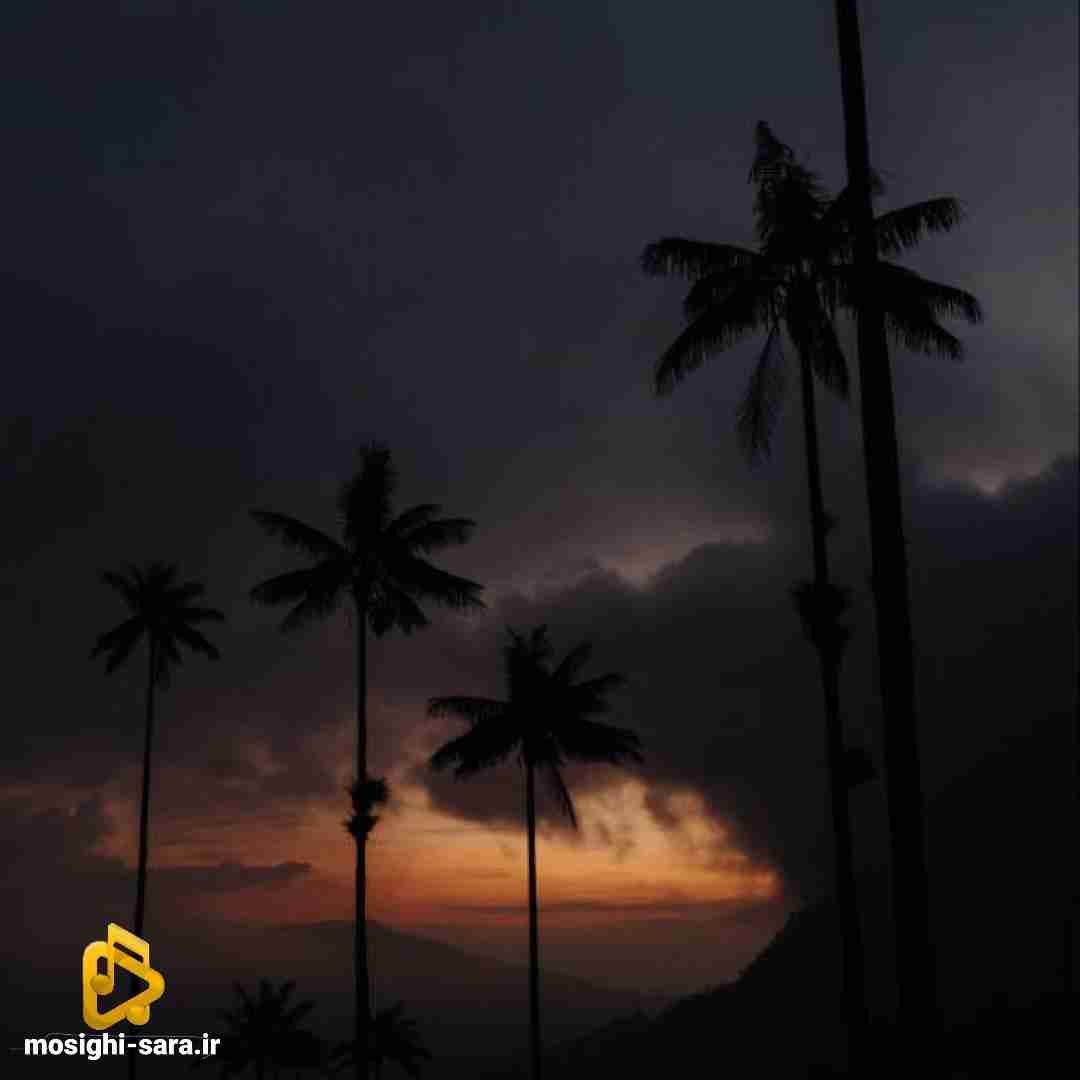 دانلود آهنگ یار از فاطمه رحمانی