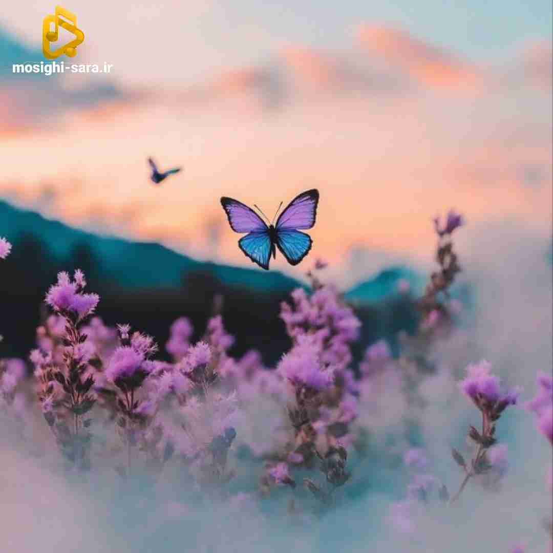  پسر بسه دیگه ولگردی بسه هرچی چت کردی
