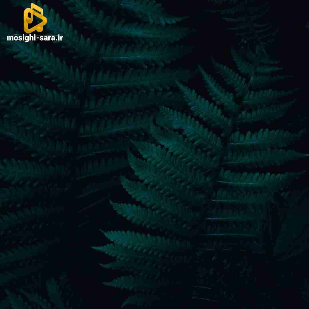 دشی هنوزم یادتم الان یکی پر شده جام هر کاری