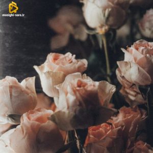 دانلود ریمیکس میزنی به سیگارت تند تند پک لام تا کام