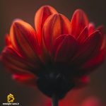 دانلود ریمیکس گفته بودی که با همه فرق دارم آره خب