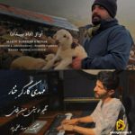 دانلود آهنگ داد بیداد از مهدی کارگر