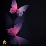 دانلود آهنگ جان من قلبم عزیزم بی تو من یک تکه سنگم از دشی