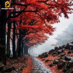 دانلود آهنگ دوتا بطری هاینیکن زدیم همه چیو ولی بازم