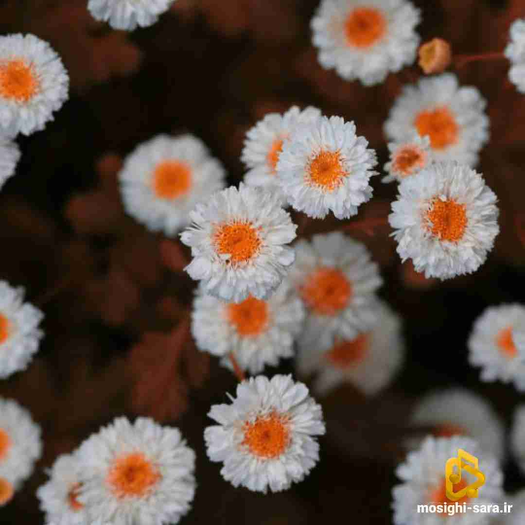 بعضی وقتا آدم باید بره باشه دوسش داری