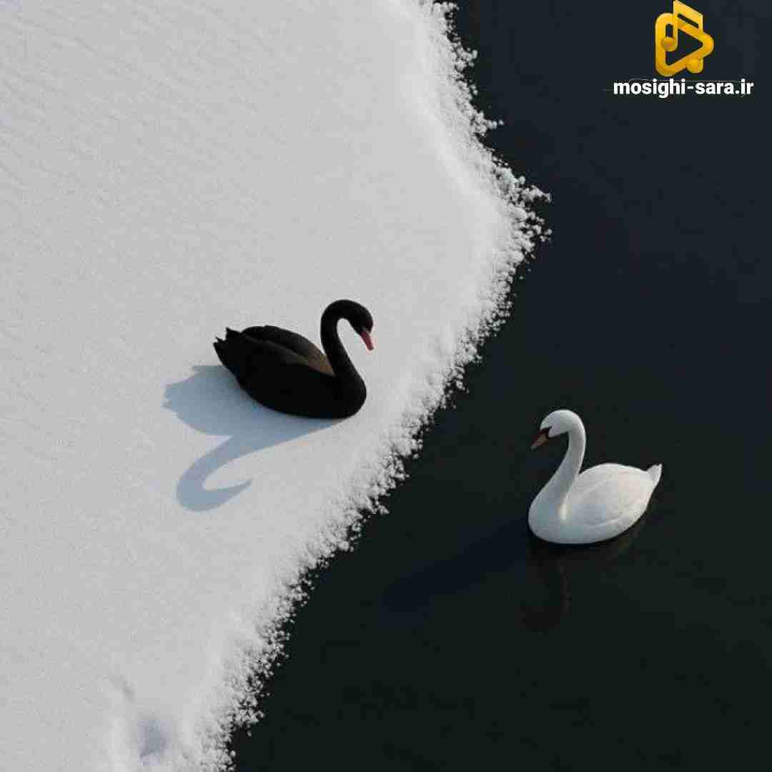 دانلود آهنگ بد هاکردی از فاطمه عطایی