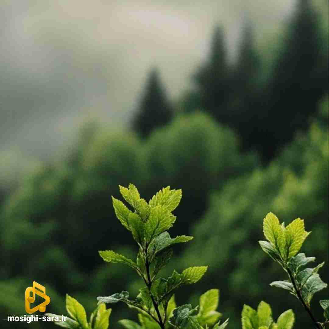 دانلود آهنگ بگم به کی نمیشه ادامه بدم عادی نی بگم به کی