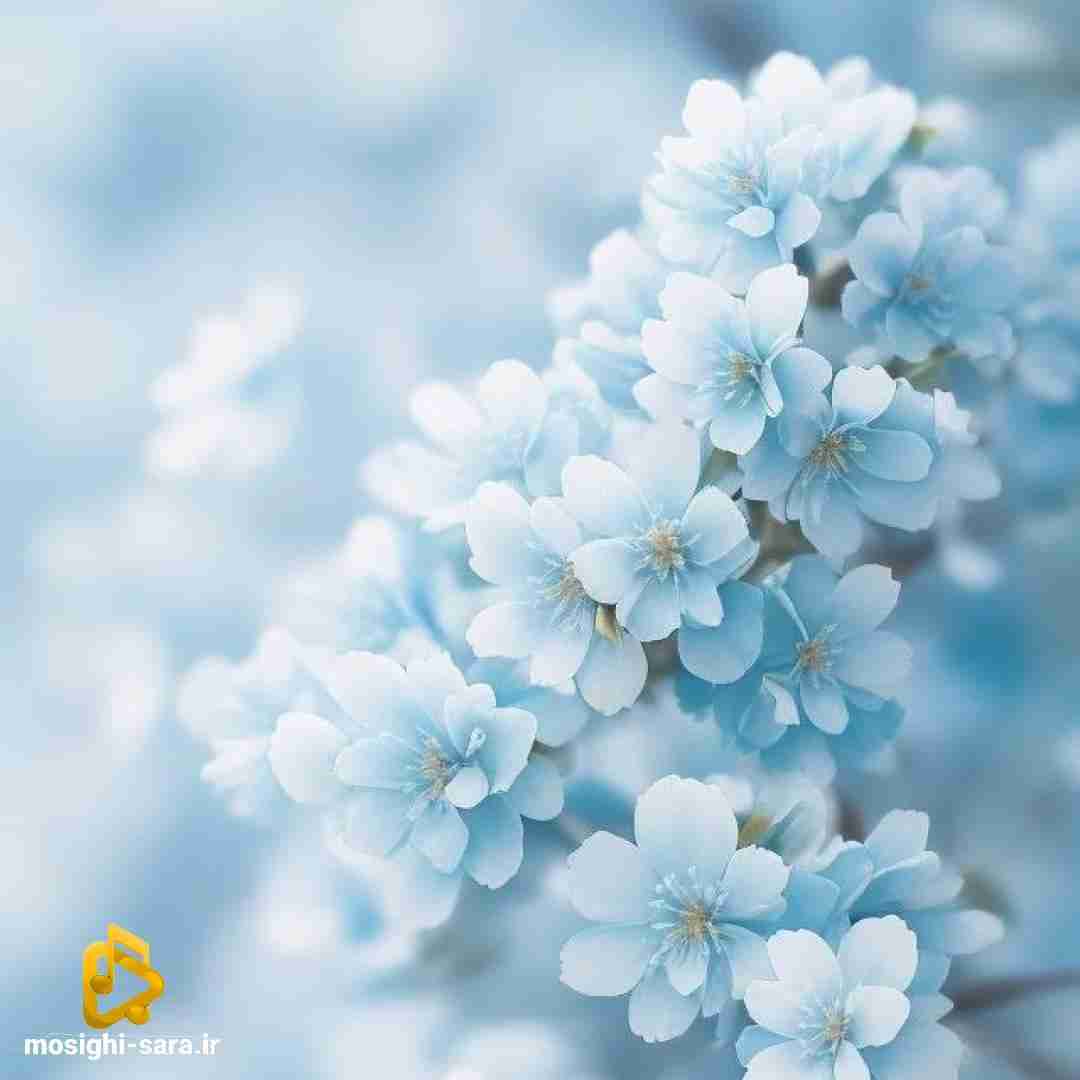میوفتم یادت میرم هی تو قدیما پر کدی برام