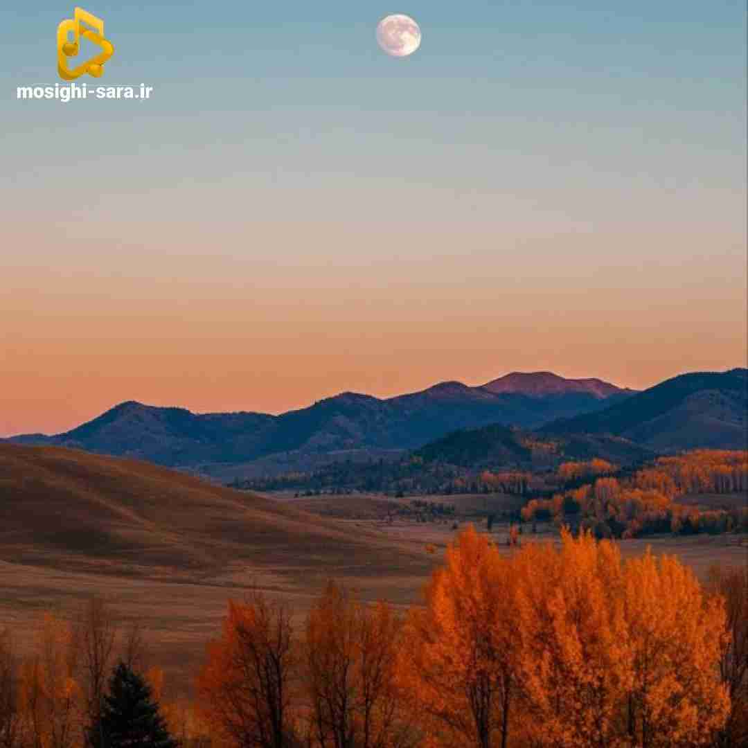  دیگه به تو ربط نداره نه اگه بودم هر جای شهر
