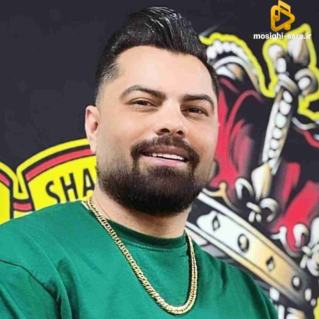 دانلود ریمیکس تیر خلاص از مهدی دلداده