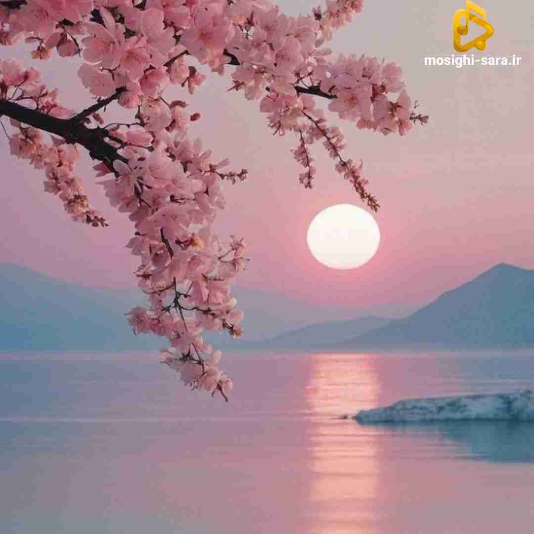  زدی زیر قولت بیبی بیبی ندارم بت دیگه میلی میلی