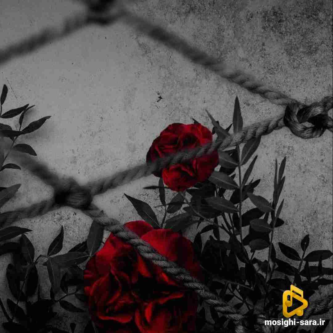 تو تنهاییایم اونی که واسم میمرد تو جمع تنهام