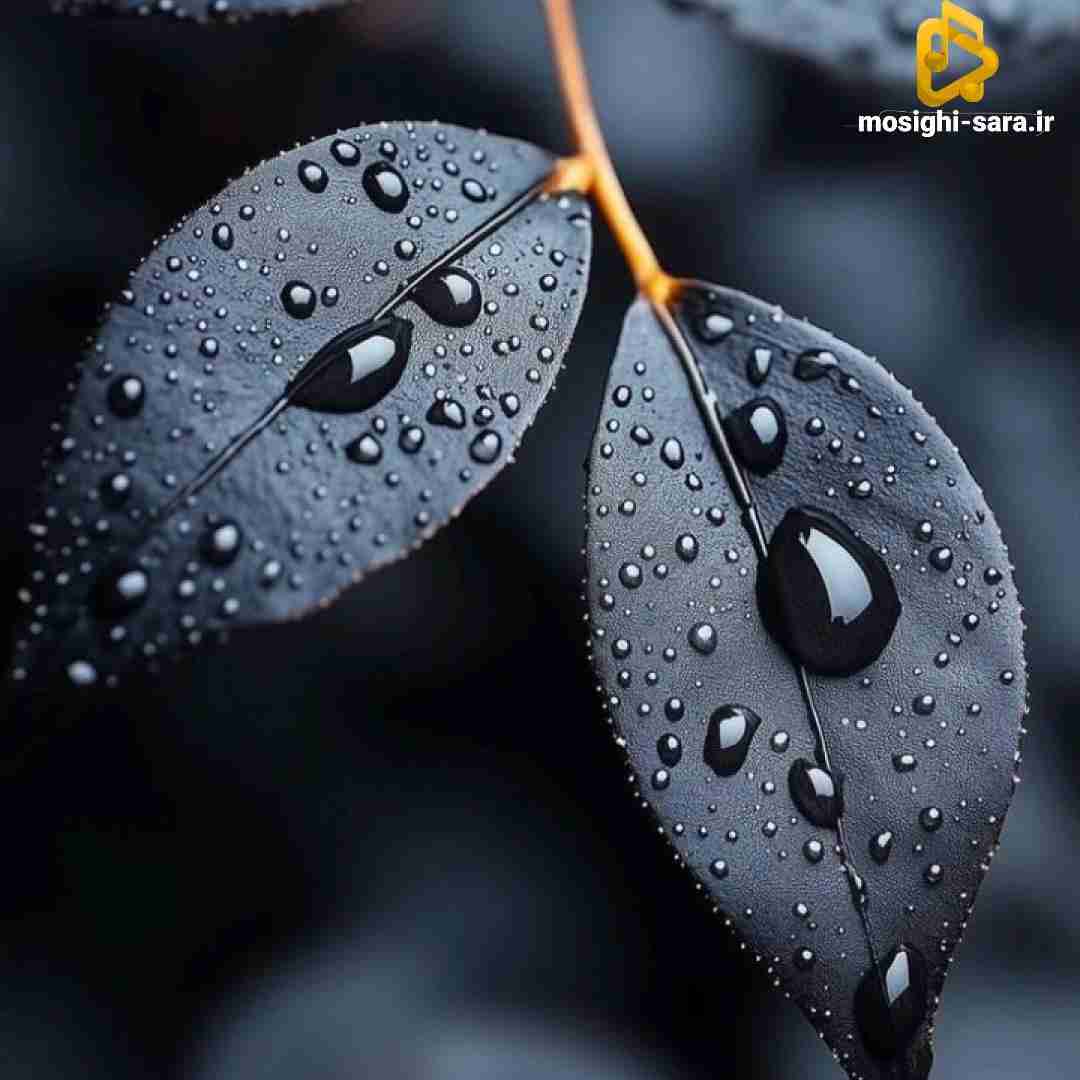 دانلود آهنگ فکر نکن ترسیدم ریختم کلا تو خودم میگذره