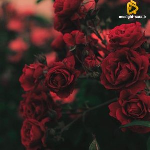 دانلود ریمیکس بی منم اگه رفتی دیگه برنمیگرده اون که رفته