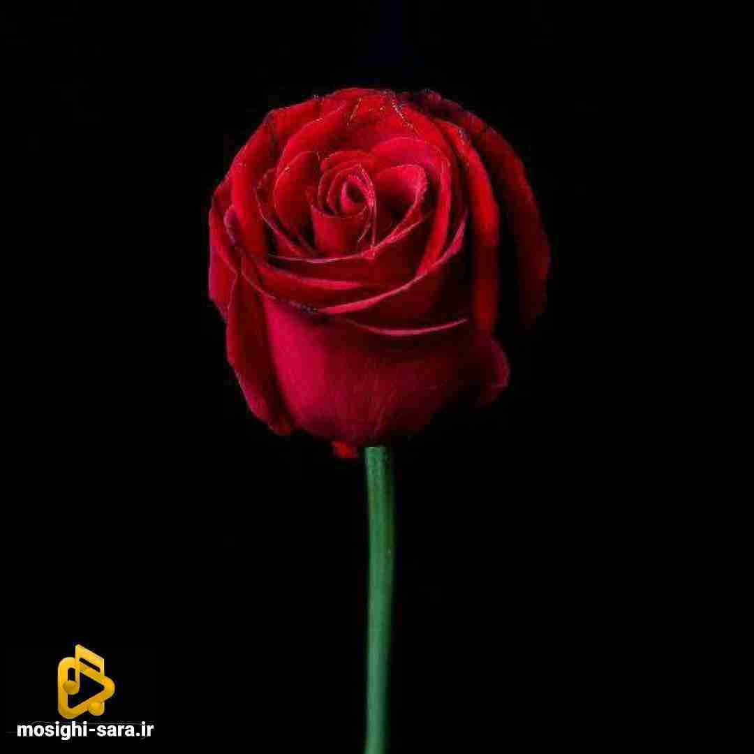  همه چی باز تقصیر من بود تصمیم گرفتم