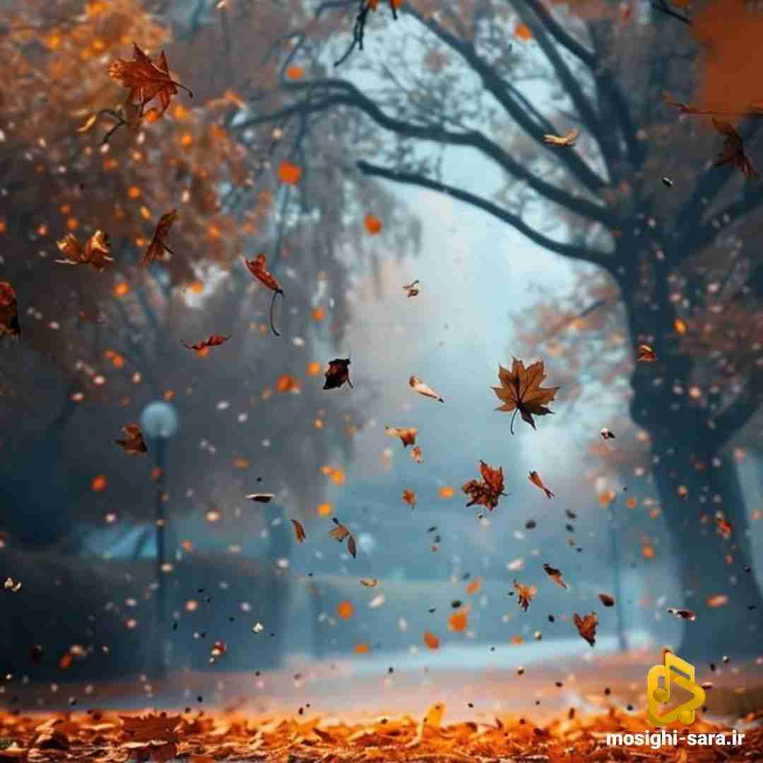  چه خبره خر تو خره عمو سبزی فروش