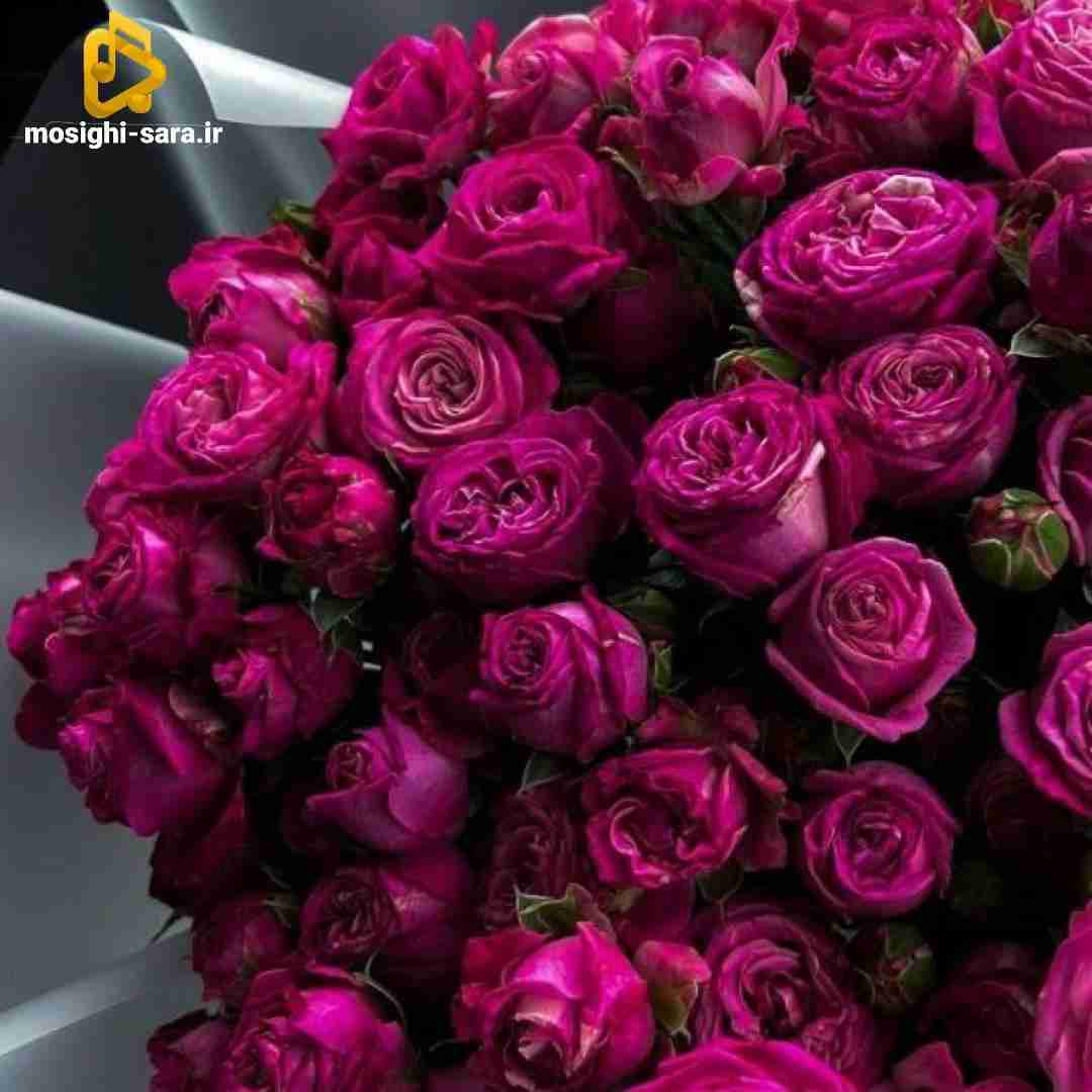 واسه من کوییک سوار تو سیس نیا هیچوقت