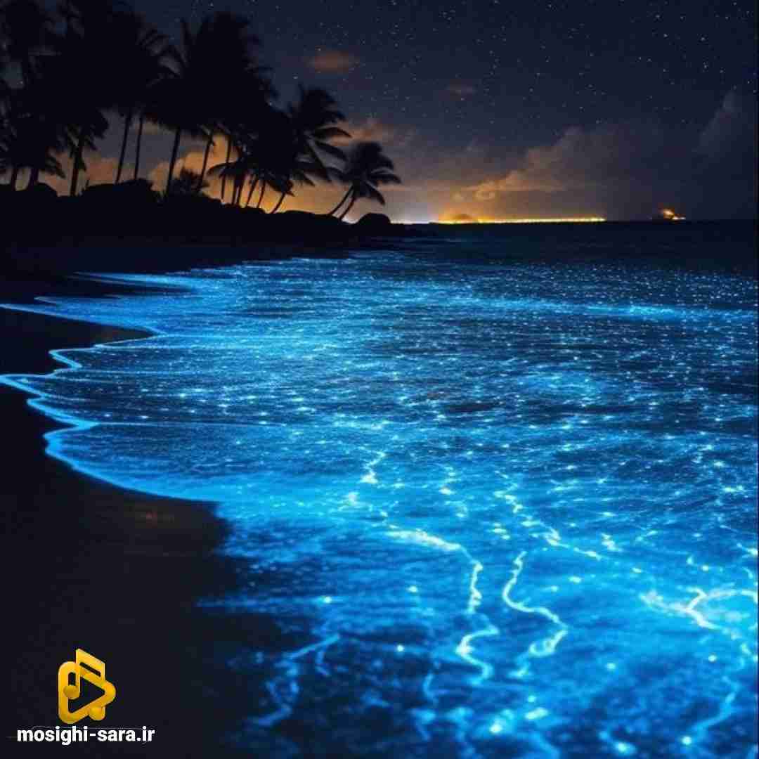 یادم رفته چی دوست داشتم حتی یادم نی