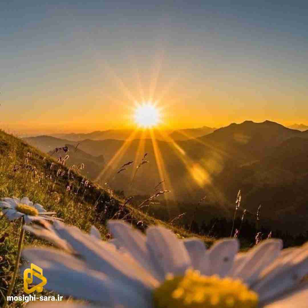  اونقدر دوست دارم که نمیدونی باید همه