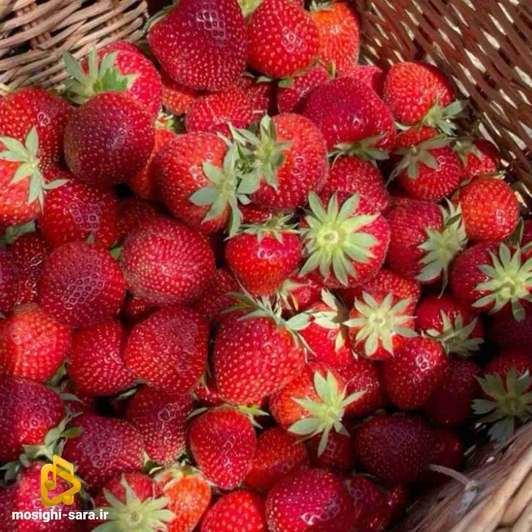 با خودت که زیاد حرف بزنی از یه جایی