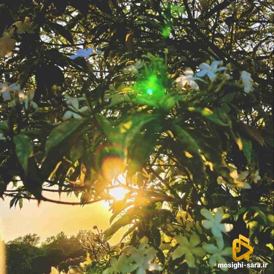  کودکی در حال بازیه طبیعت خوشحاله از شکار