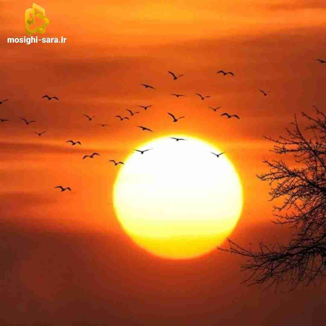  همه چیزیو تجربه کردم قرص های اعصاب