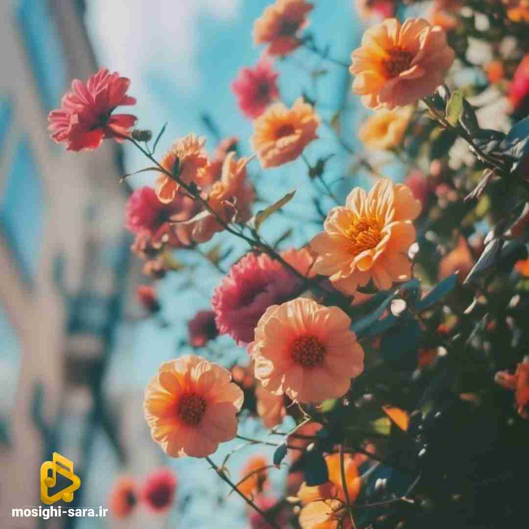 دانلود آهنگ الان دیگه یه خیال توی تنهاییمی سولمیتم بودی