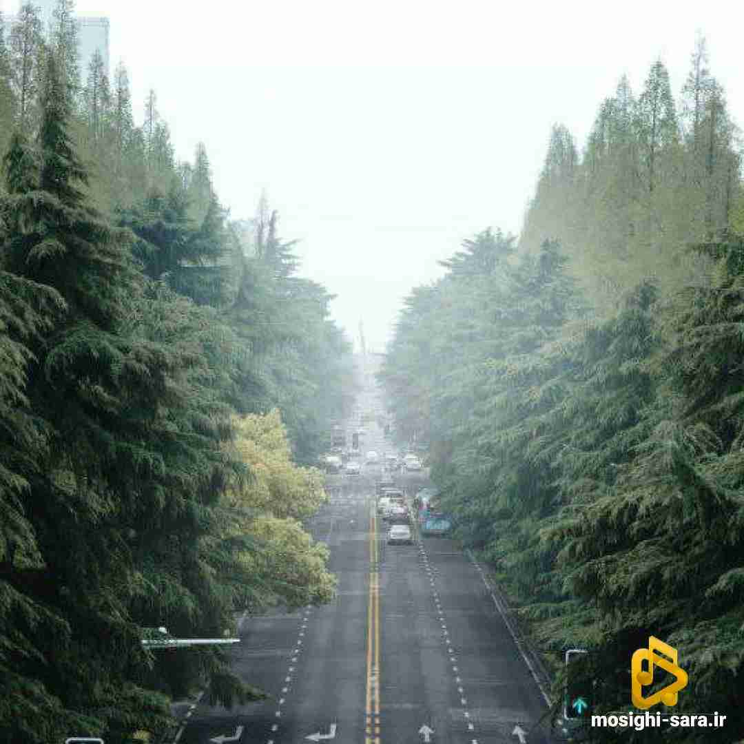 چشای تو منو نجات میداد الان چشات