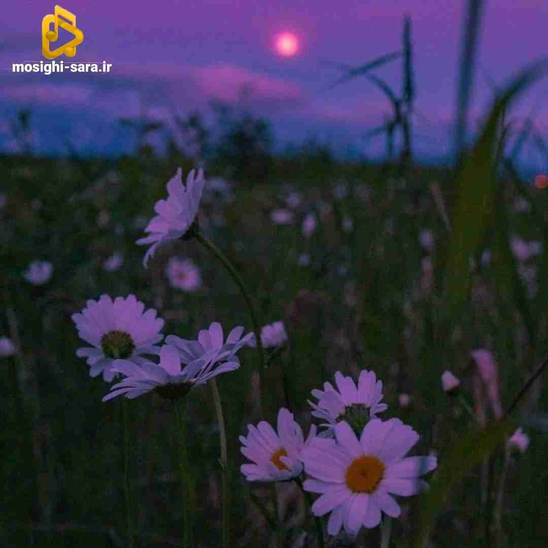 تو فرق داری با همه ولی قلبم از آهنه