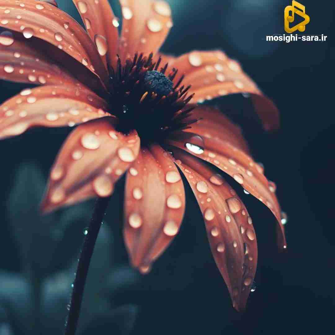  تو اتاقم دارم از تنهایی آتیش میگیرم