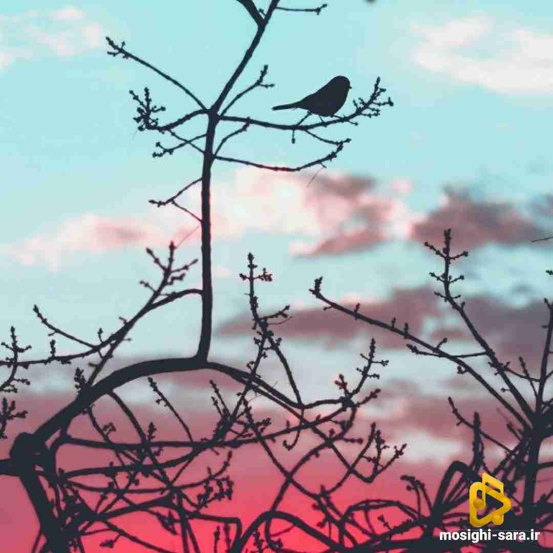  دیگه با گریه هم خالی نمیشم نگاه کن