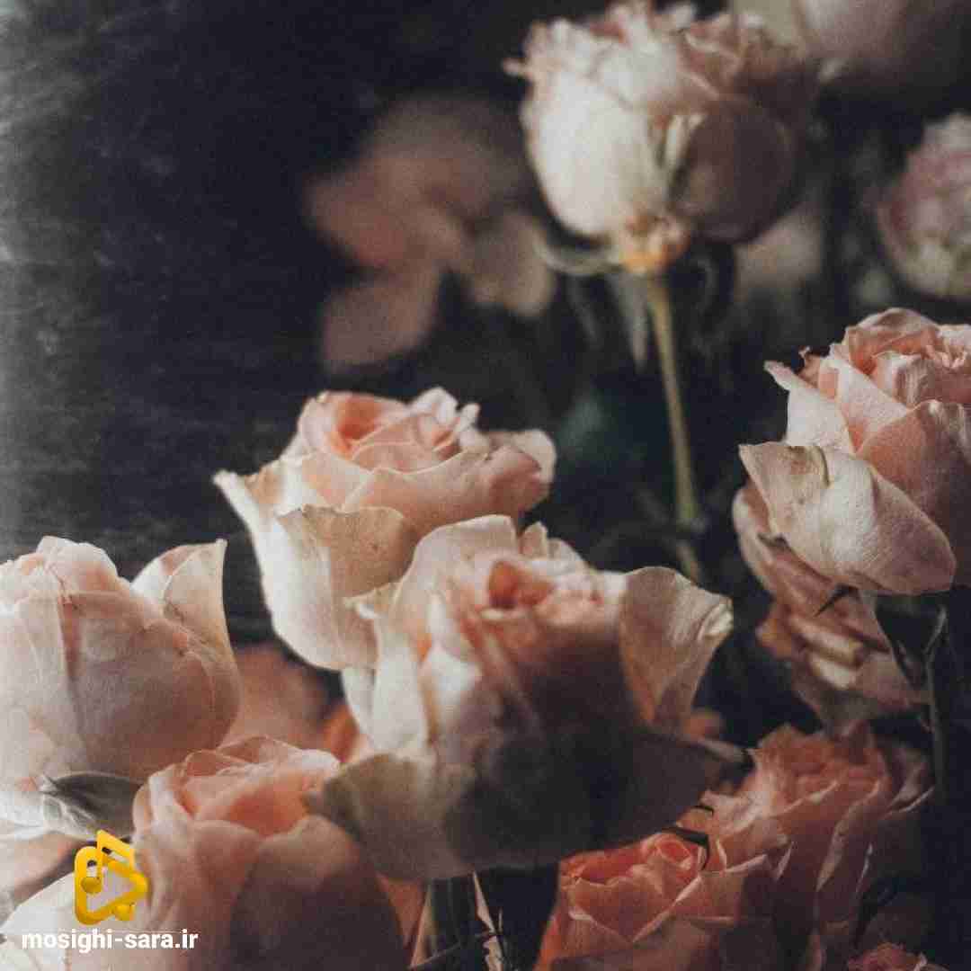  دیگه بام سخت میشه حرف زد نمیگم بت