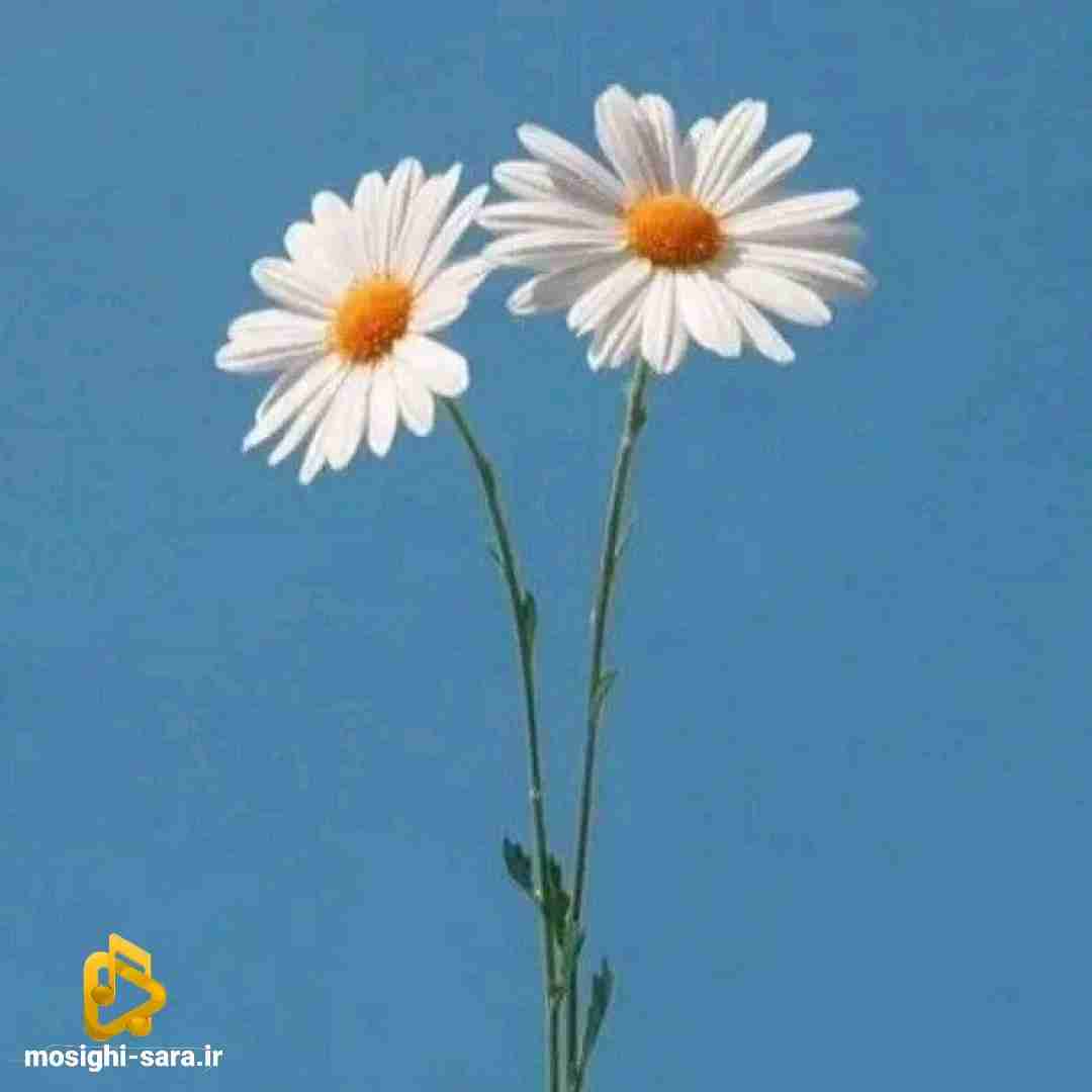  یکی دل منو پاک کنه از این دستم یکی