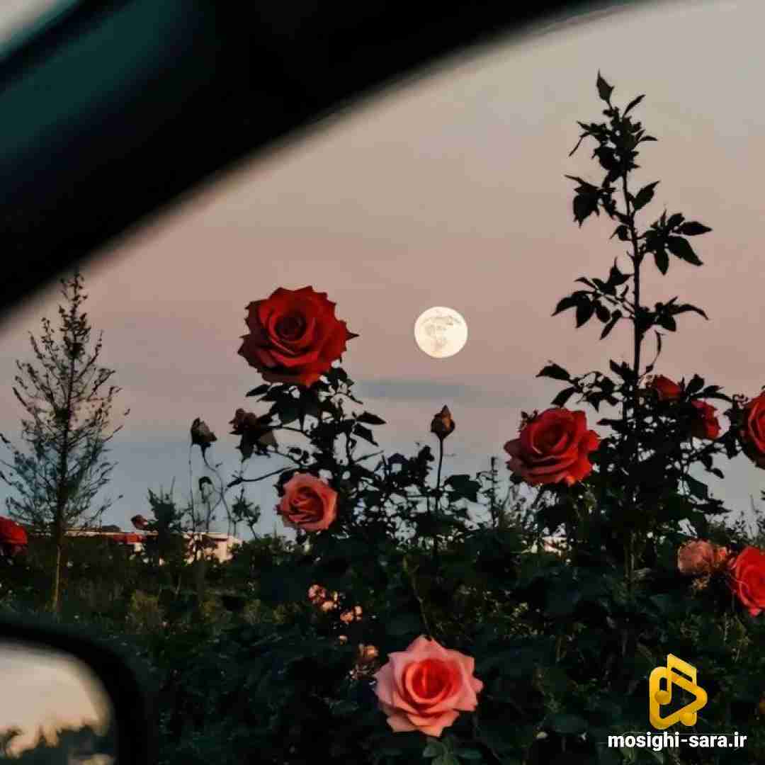  هنوزم مات نگاش همونی که داده منو