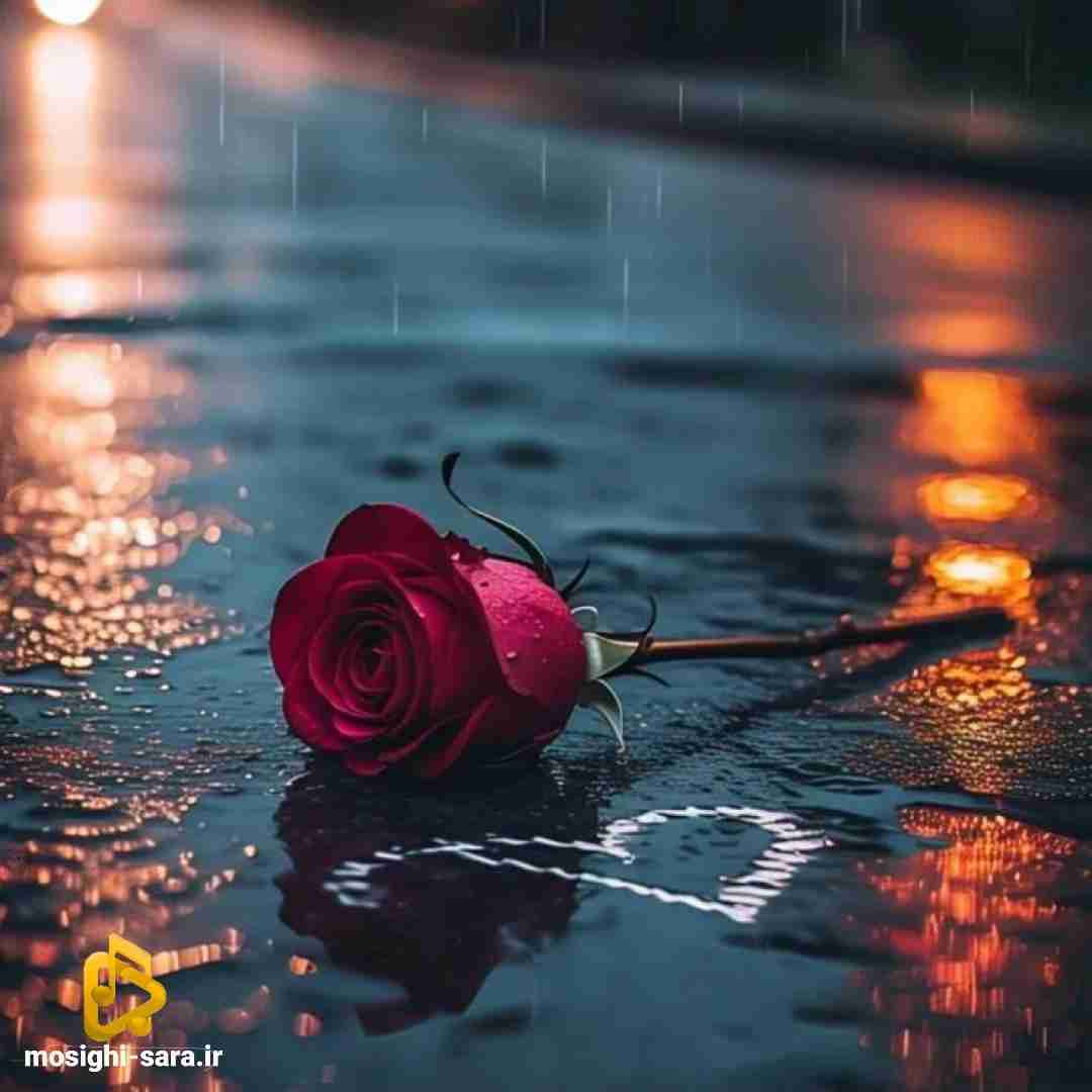  یا نمیفهمی یا که خودتو داری میزنی به نفهمی