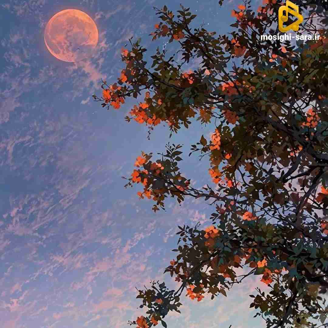 دانلود آهنگ وقتی بهت میگم مراقبت خودت باش یعنی میمیرم
