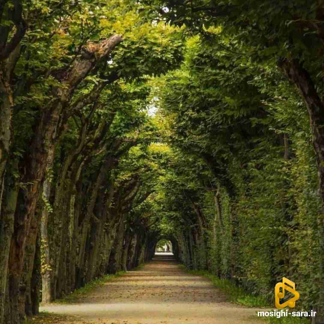 یادته که گاهی هوا زشت میشد میگفتم