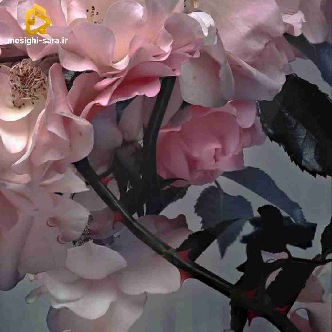  چی میگن و ول کن چی داری مهمه همه خوابن