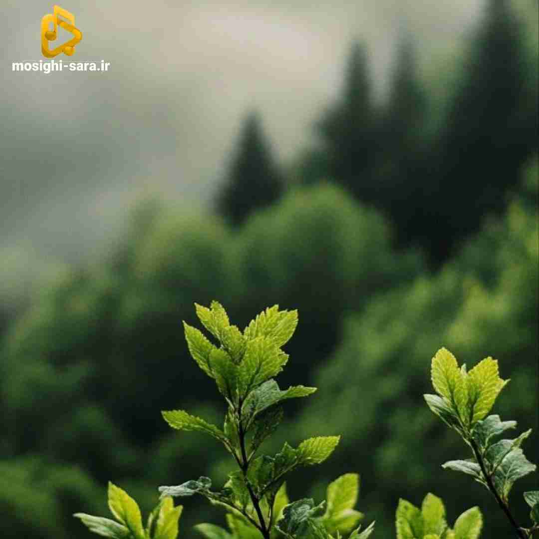 روز اول رفیقات زنگ من رفیقام جمع کردنم