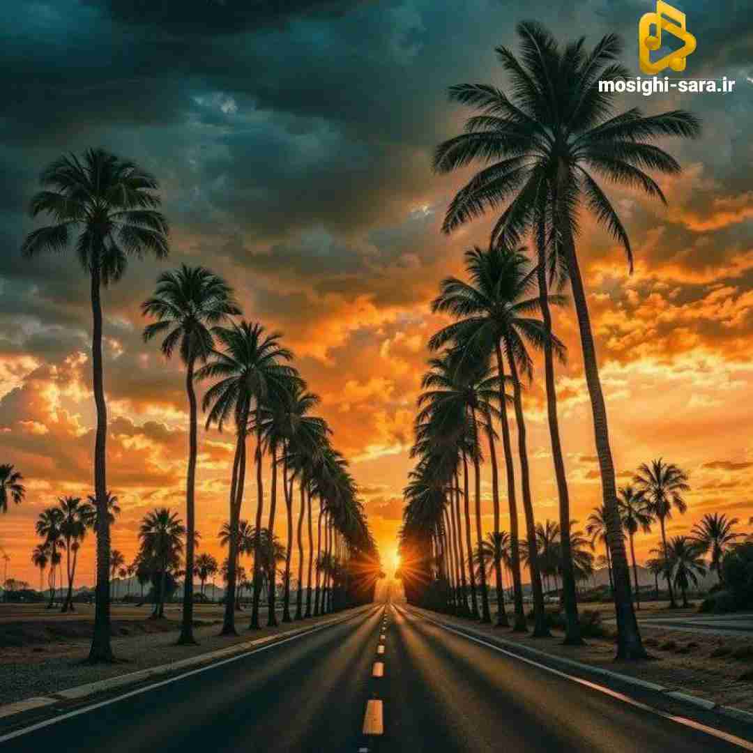 تو تاریکی رقصیدم با غم نبودت کردی