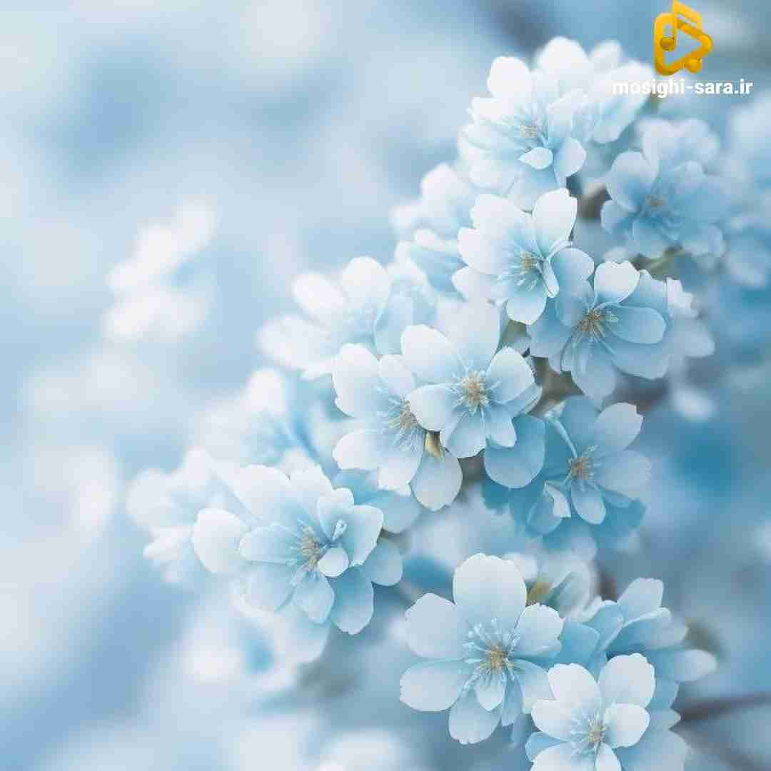 انگار شده بودی طلسم یهویی رفتی