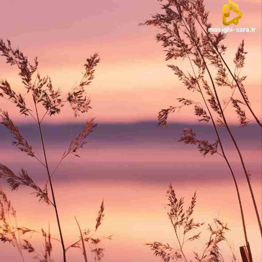 همه عکساتو پاک کردم ویساتو اشکامو پاک