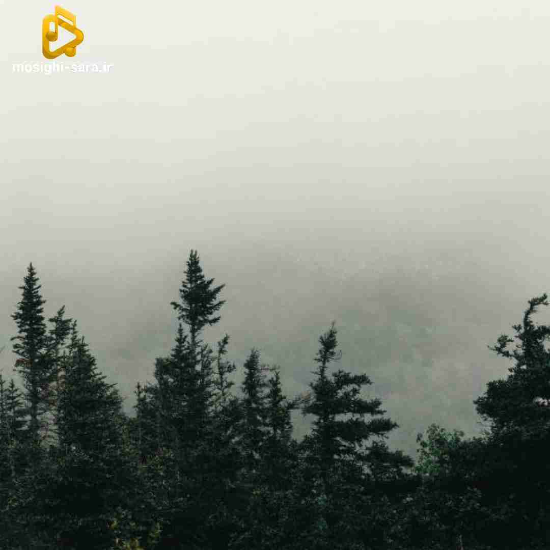 این یکی فقط واسه توعه واسه تویی