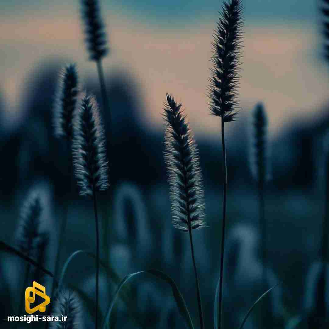 رفتی از اینجا از یادم نرفتی مونده قلبت