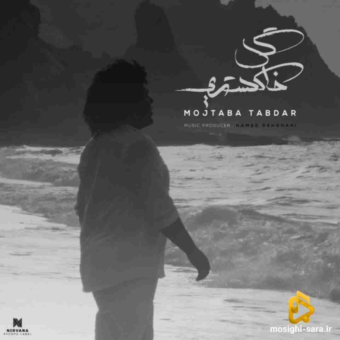 دانلود آهنگ گل خاکستری از مجتبی تابدار